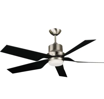 Living room ceiling fan with light