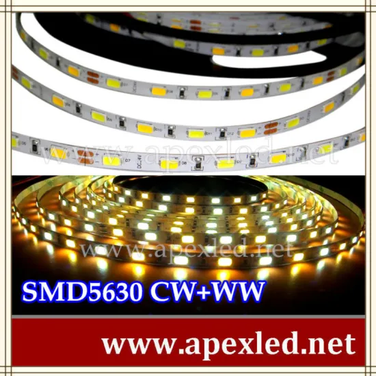 SMD5630 led strip light in CW/WW color changable dimmable 4MM 5MM 6MM 8MM 10MM 12MM 15MM