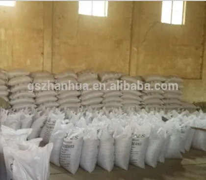 Red broomcorn millet