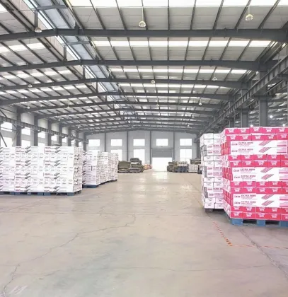 Best Carpet Grippers for Household Use