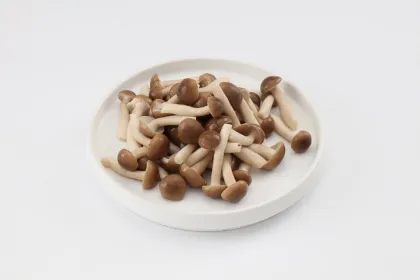 company Price white beech mushroom