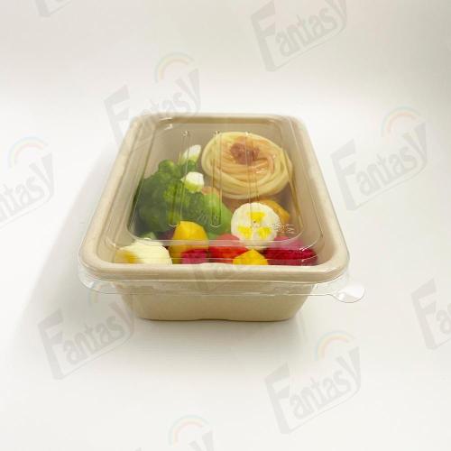 China Disposable Bagasse Paper Food Bowl Supplier