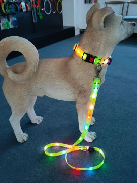 Factory Wholesale Waterproof Illuminating Walking Night Light up Dog Leash Collar Set Glowing USB Rechargeable Led Dog Leash