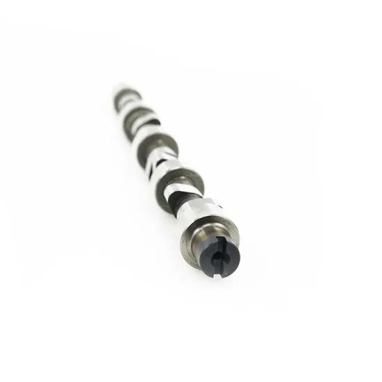 Supplier for New Style Low Price Mini Trucks Parts: Engine Camshaft 1006011FE010 in Auto Engine Systems