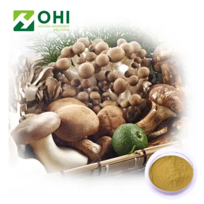 Agaricus Blazei Murill Mushroom Extract