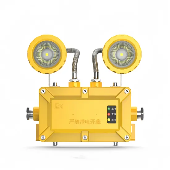 LEDUN IP66 Aluminum Explosion-Proof Emergency Lamp - 2x3W LED Light with 1.5 Hours Battery