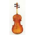 One Piece Back Master Violin