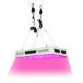 Energy Saving Led Grow Lights Fabbrica idroponica