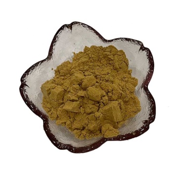 Hot sales pure japanese honeysuckle extract powder/honeysuckle flower extract powder