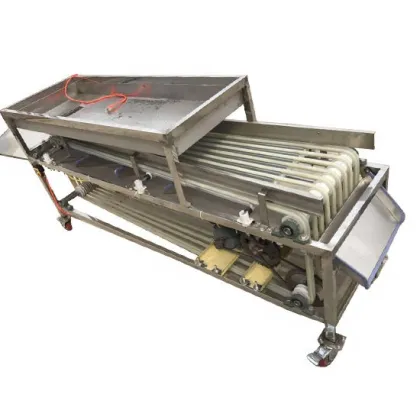 Fruit Pre-sizing Machine for Medjool Dates, Jujube, Dattes, and Plums Sorting