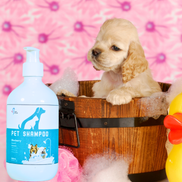 Blueberry Scent Shampoo for Dogs and Cats