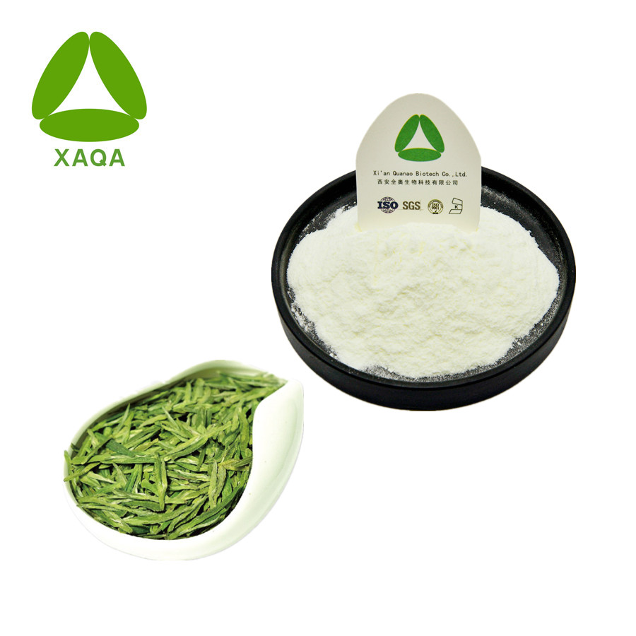 Green Tea Extract Epicatechin Powder CAS 490-46-0