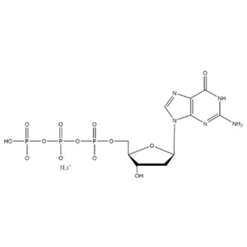 dTTP·4NH4