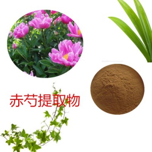 Paeoniflorin Powder Paeonia Lactiflora Extract