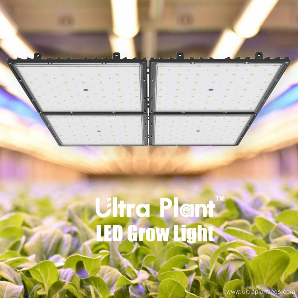 Deep Red Full Spectrum Grow LED for Flowering