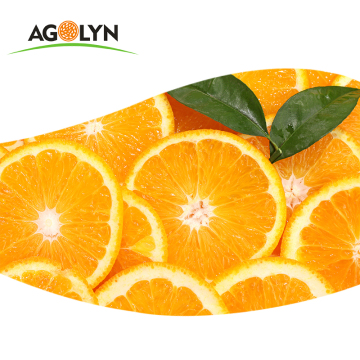 Fresh Juicy Sweet Mandrin Oranges
