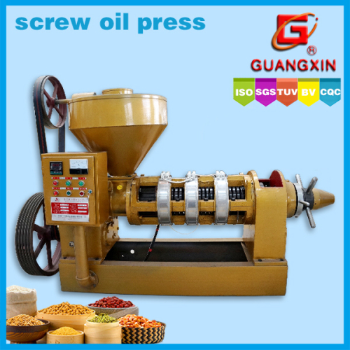 hot sale automatic small cold press oil machine