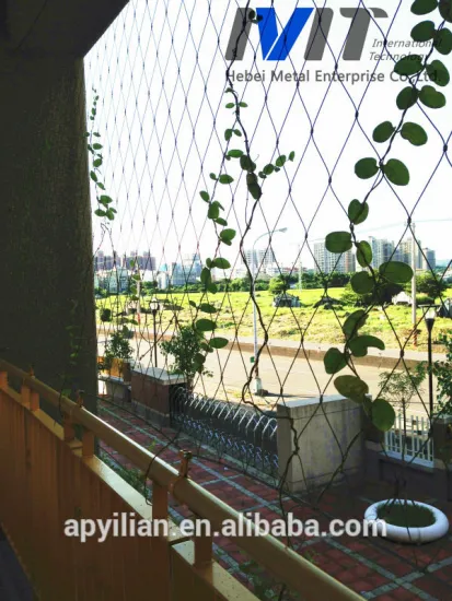 MT high quality38*38mm woven rope wire mesh