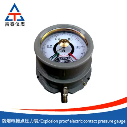 Explosion proof electric contact pressure gauge