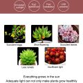 Grow Light DC5V USB Full Spectrum Phytolamp