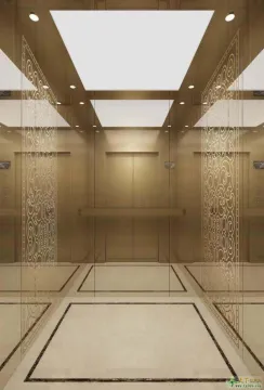 Hotel Passenger Elevator Residential Building Elevations