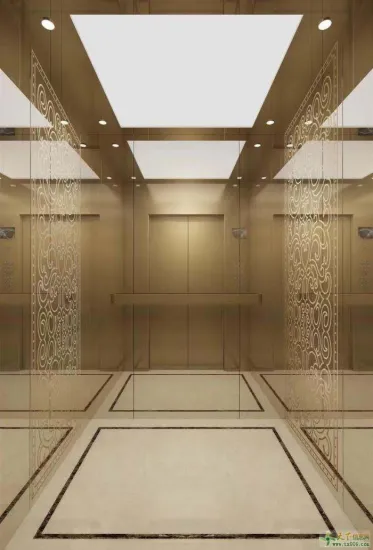 Hotel Passenger Elevator Residential Building Elevations