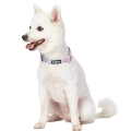 Spring Scent Floral Dog Collars