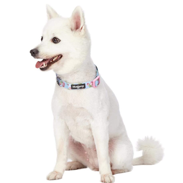 Άνοιξη Spring Floral Dog Collars