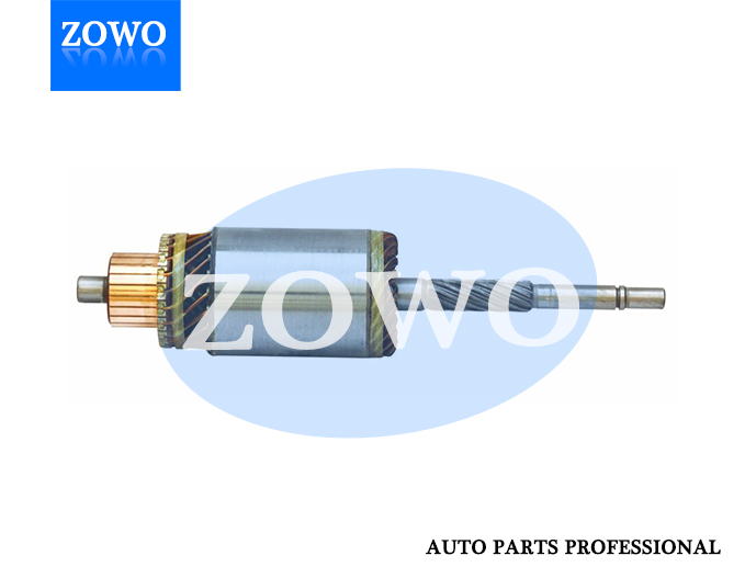 Im1113 Starter Motor Armature 12v 10t