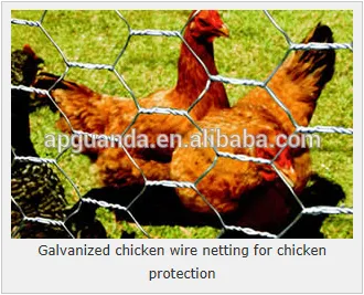 Galvanized and PVC chicken wire fence PRICE