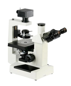 Inverted Biological Microscope PH-B0024