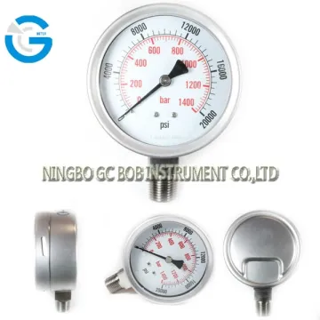 High quality stainless steel high pressure meter