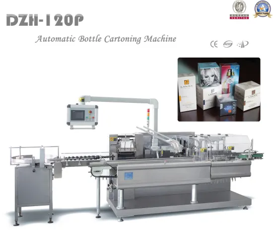 Dzh-120p Horizontal Type Packing Machine