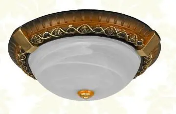 Fashion resin ceiling light fittings