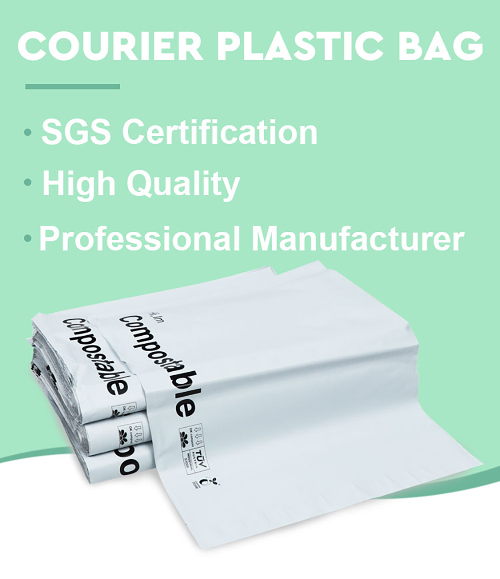 poly mailer bag (4)