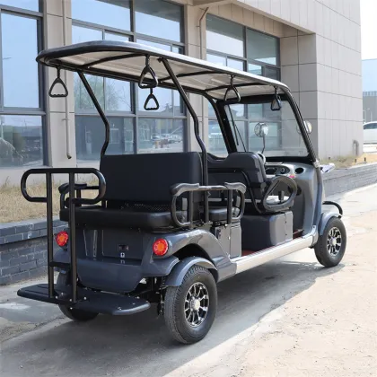 Six Seater Electric Car