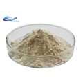 sell 98% Piperine Powder Bulk Piperine Extract