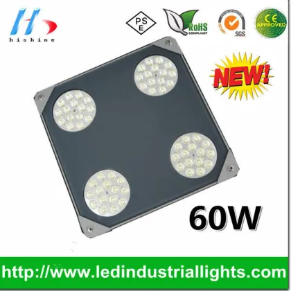 Long Lifespan Explosion Proof Lighting For Gas Station Light 60w