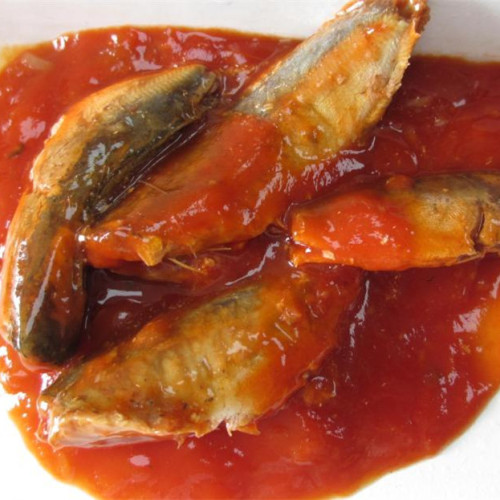 Sardinen-Fischkonserven in Tomaten