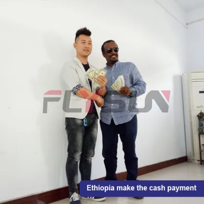 Automatic Hanging Dryer Machine for Noodles, Biltong, Meat, and Sausages