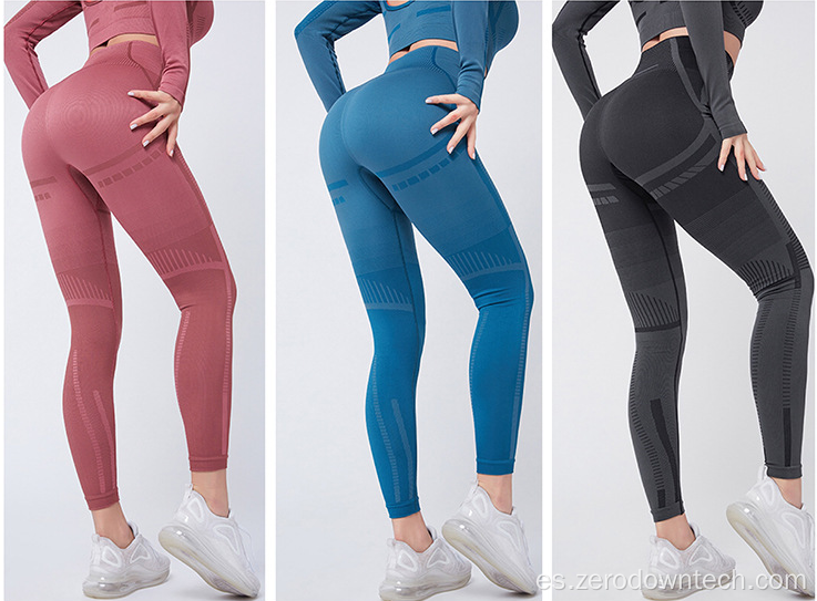 Última versión, traje de gimnasia para niñas, ropa de gimnasia para mujer, Top corto para mujer, ropa deportiva acanalada, ropa deportiva sin costuras, sujetador de Yoga, 2 piezas, conjunto de Yoga