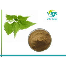 High quality nettle extract 0.8%