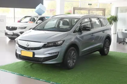 Maple Leaf 80v Pro 2022 New Energy Vehicle