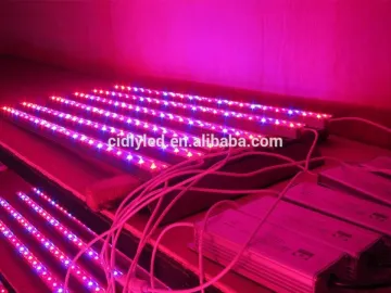 cidly water proof 1200mm led grow light strip with full spectrum used hydroponics