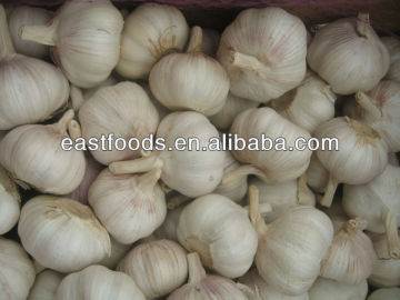 Natural white garlic 4.5cm