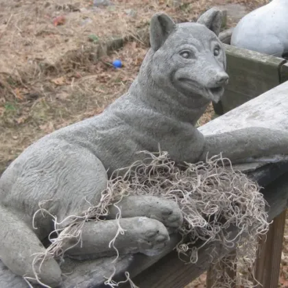 Hot Sale Outdoor Garden Granite Stone Wolf Statue