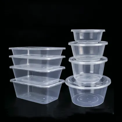 Disposable Fast Food Plastic Containers for Meal Packaging