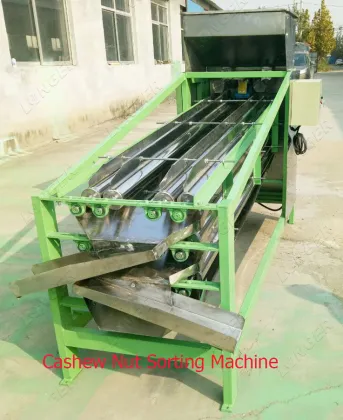 Cashew Nut Processing Machines & Equipment