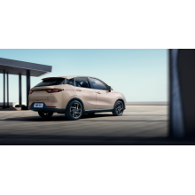 Pure electric SUV Neta AYA
