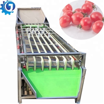Máquina de clasificación de cítricos industriales en venta